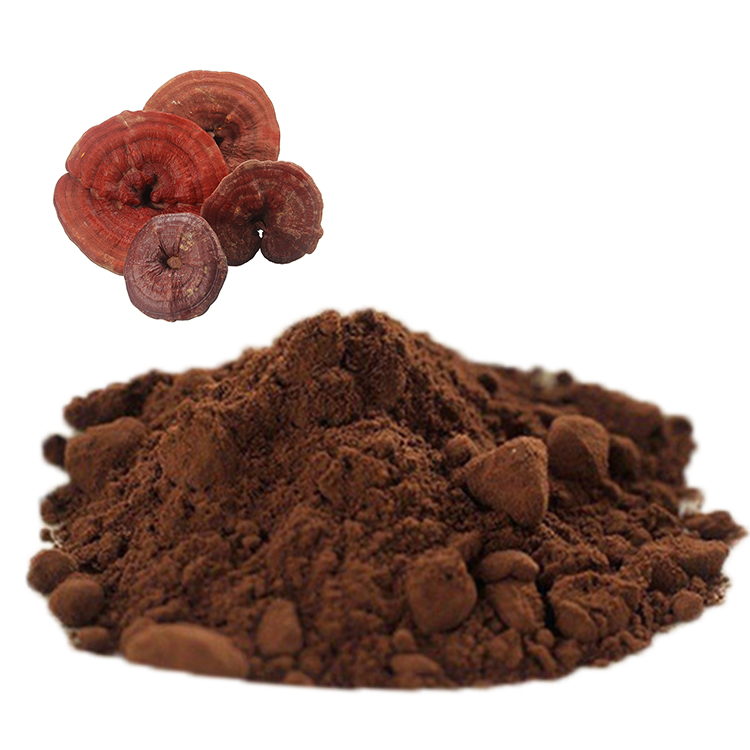 Why Choose Fine Grind USDA Certified Organic Red Reishi Mushroom Extract Powder? Benefits Explained
